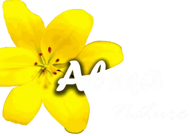 Alma Nature Herbolario